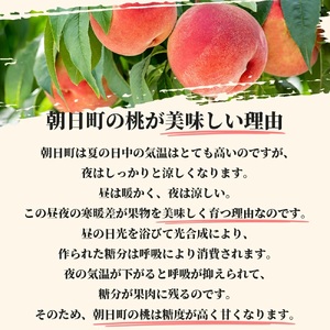 白桃 あかつき 3kg 9～12個 秀品 【2025年8月中旬発送】山形県 朝日町産 農家直送 山形産 もも モモ 桃 ピーチ 果物 先行予約 フルーツ 夏