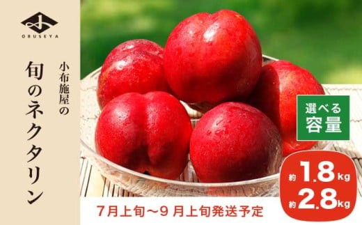 
            旬のネクタリン 約1.8kg 約2.8kg 選べる内容量 ［小布施屋］ 果物 フルーツ 桃 もも 長野県産 小布施 冷蔵便 クール便 産地直送 数量限定 送料無料 令和8年産 【2026年7月上旬～9月上旬発送】
          