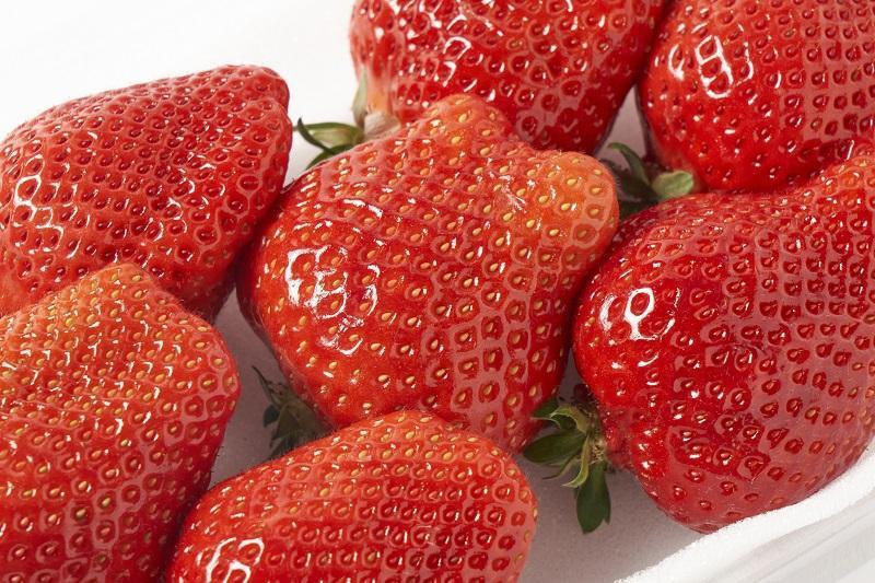 【2026年1月～3月出荷予定】完熟 大粒 あまおう イチゴ 280g×2パック(約560g)＜配送不可：北海道、沖縄県、離島＞