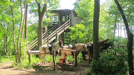 【初心者おススメ】 トムソーヤプレミアムコース 祝休日プラン 乗馬 トレッキング 体験チケット アウトドア [DE006sa]