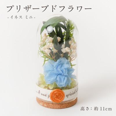 ふるさと納税 羽島市 プリザーブドフラワー ガラスドーム型アレンジ 【イネス ミニ(ライトブルー)】
