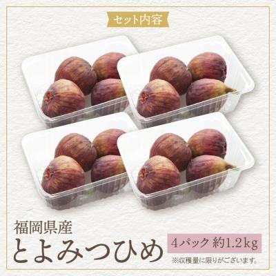 ふるさと納税 福智町 ★9/30まで★【2026年発送】とよみつひめイチジク(4パック) |  | 01