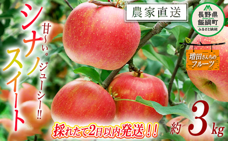 りんご シナノスイート 家庭用 3kg 採れたてを発送 増田ファーム 沖縄県への配送不可 2026年10月上旬頃から2026年10月中旬頃まで順次発送予定 令和8年度収穫分 信州 果物 フルーツ リンゴ 林檎 長野 予約 農家直送 長野県 飯綱町 [0819]