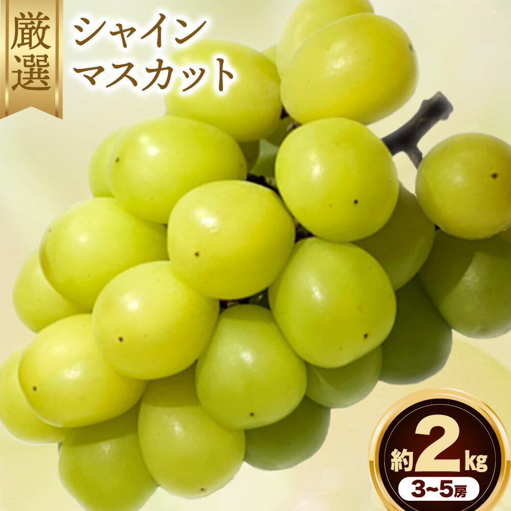 【ふるさと納税】シャイン マスカット 約 2 kg 《9月中旬-11月中旬出荷予定(土日祝除く)》広島県 神石高原町 果物 フルーツ ぶどう シャインマスカット 訳あり 送料無料