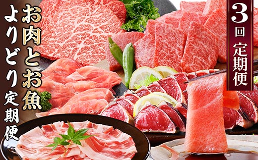 定期便3回配送　お肉とお魚よりどり定期便 LL-6016【1498567】 _ 黒毛和牛 黒豚 マグロ 鰹 かつお タタキ ハンバーグ 焼肉 ロース ミンチ 本マグロ 中トロ 焼肉 セット 食べ比べ 定期便 鹿児島県 枕崎 産地直送 おすすめ