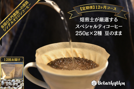 【頒布会】スペシャルティコーヒー【豆】定期便 250g×2種 12ヶ月 mi0043-0007