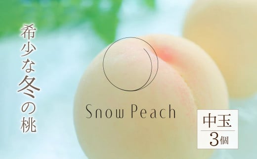 ＜25年11月発送先行予約＞Snow Peach（中玉3個入） 208-002