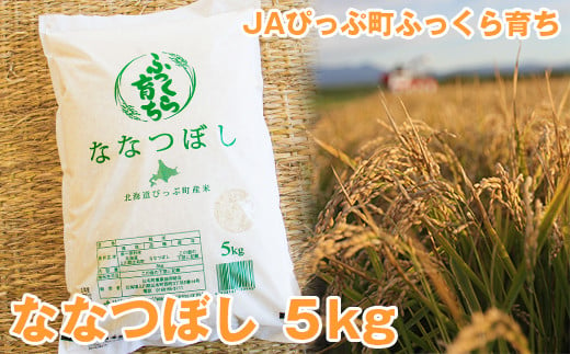 
2024年産　JAぴっぷ町　ななつぼし精米5㎏
