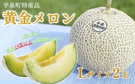 【令和7年度分予約受付】平泉黄金メロン 2玉 Lサイズ 合計約3kg 【2025年8月下旬以降より発送】/【gmk514-l-1d5kgx2B】