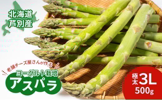 【2025年発送】アスパラ 横市ヨーグルト栽培  500g 3L 横市フロマージュ舎 野菜 アスパラガス グリーンアスパラ 旬 とれたて お取り寄せ 産地直送 小分け 保存 芦別市 北海道 送料無料 [№5342-0314]