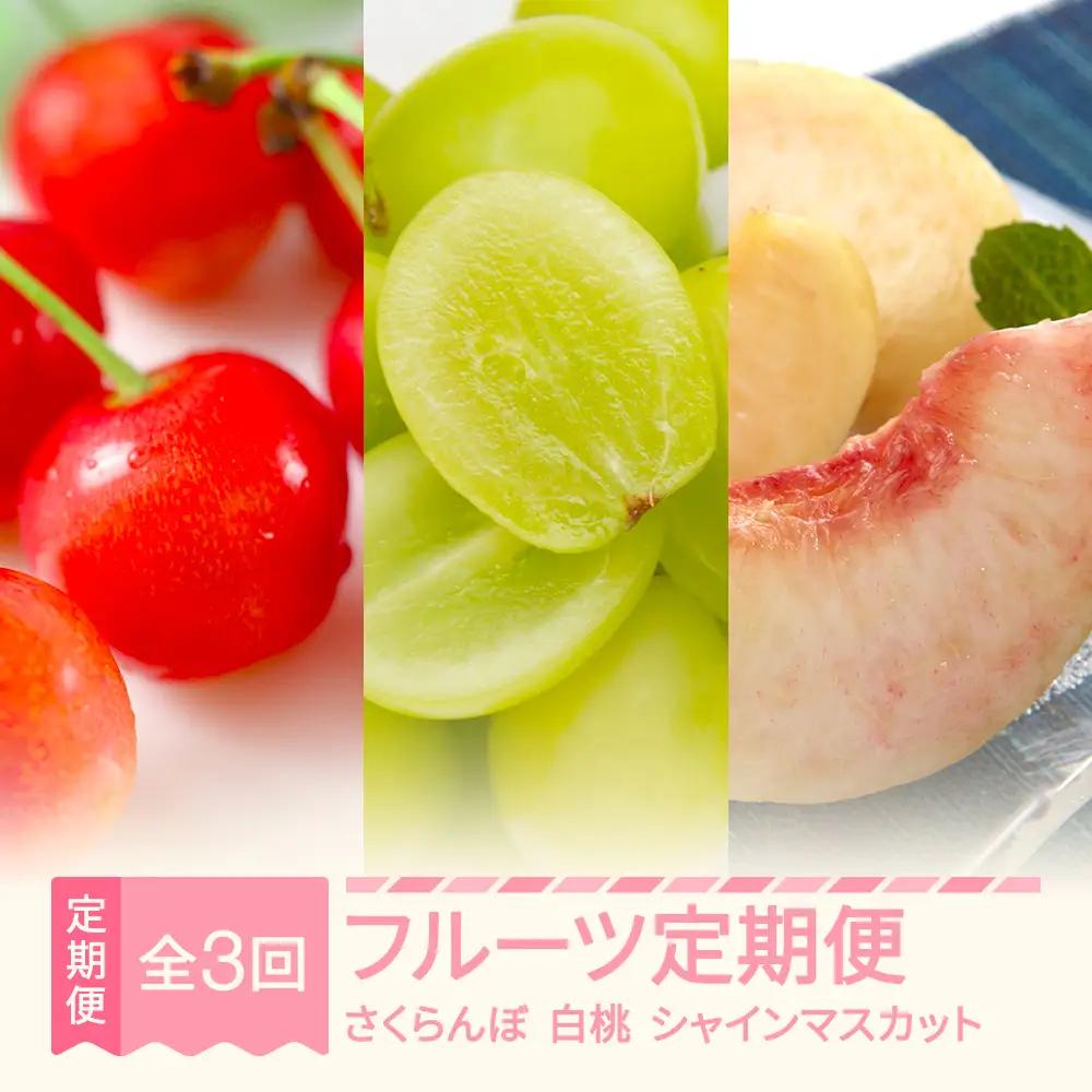 【先行予約】フルーツ定期便 全3回 秀品 令和9年産 sb-ftsms3