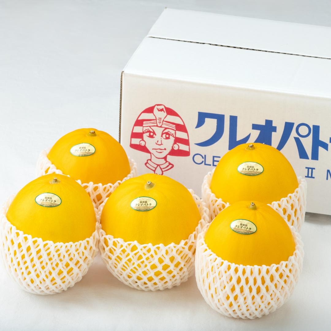 メロン クレオパトラ 5kg 4玉 5玉 6玉 (19MS.)| 鳥取県 湯梨浜町 果物 フルーツ 特産品 2026年 先行予約 先行受付