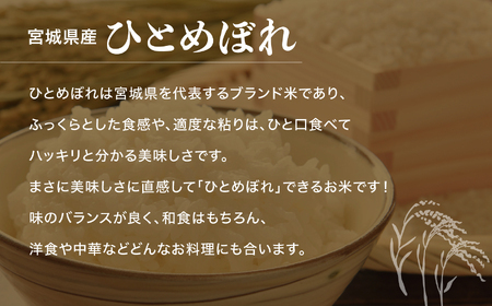 令和7年産 無洗米ひとめぼれ60kg(5kg×12袋) 