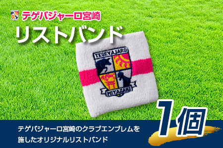 テゲバジャーロ宮崎　応援グッズセット　サッカー Jリーグ 公式 送料無料【B642】