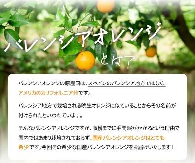 秀品 希少な国産バレンシアオレンジ 2.5kg【2025年6月下旬頃～2025年7月上旬頃に順次発送】【UT75】 303446_XF91063