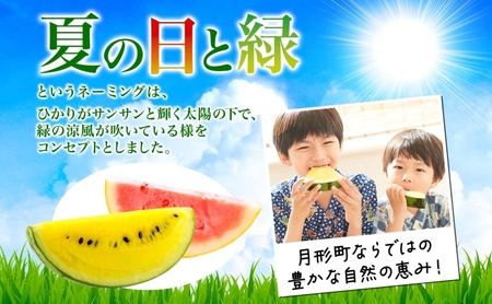 小玉スイカセット 夏の日 緑 赤 黄 北海道 小玉スイカ【2〜2.5kg 2玉】