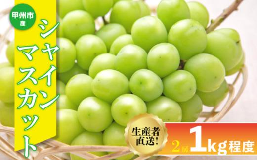 生産者直送『シャインのふるさと甲州』シャインマスカット 2房（約1kg）【2026年発送】（SFK）B11-856 【シャインマスカット 葡萄 ぶどう ブドウ 令和8年発送 期間限定 山梨県産 甲州市