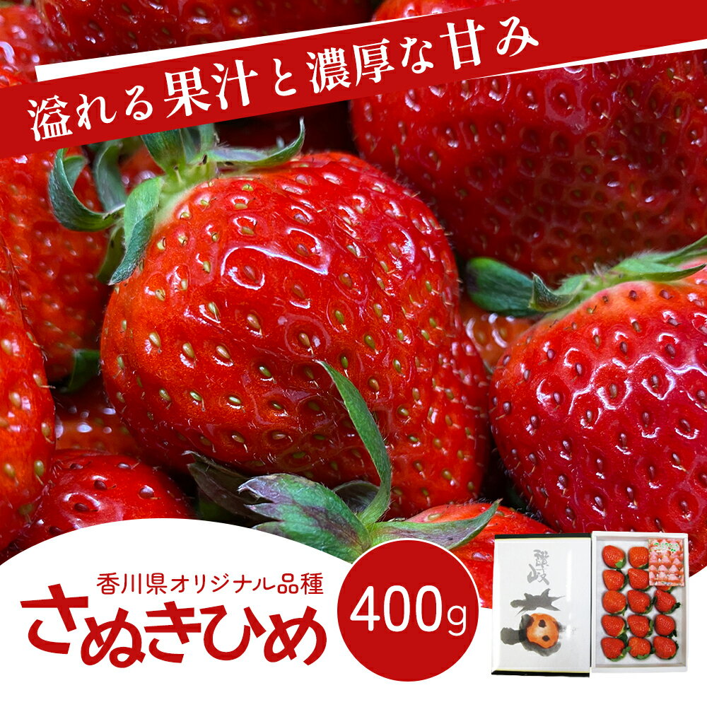 【ふるさと納税】いちご 香川県オリジナル品種 さぬきひめ 400g 香川県産 化粧箱 年内受付 苺 イチゴ フルーツ 果物 くだもの 旬のフルーツ 旬の果物 大粒 採れたて 冷蔵 香川 香川県 東かがわ市　お届け：11月中旬～1月31日
