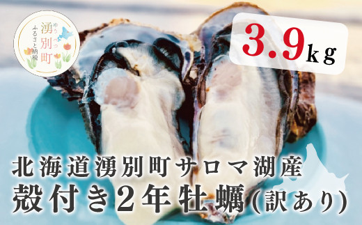 
【国内消費拡大求む】 [№5930-0326]訳あり　北海道湧別町サロマ湖産　殻付き2年牡蠣3.9㎏（約42個入）
