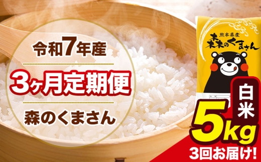 令和7年産 森のくまさん 【3ヶ月定期便】 白米 《お申込み翌月から出荷》 5kg (5kg×1袋) 計3回お届け 熊本県産 単一原料米 森くま 熊本県 玉東町