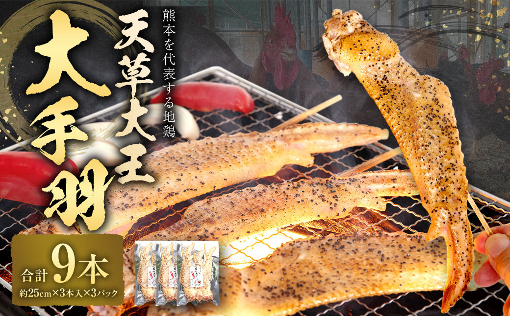
            熊本 天草大王 大手羽 9本 （3本×3パック） 地鶏 鶏肉
          