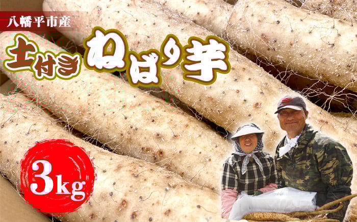 
                  ＜2026年4月上旬発送開始予定＞  岩手県産 土付き 春掘り ねばり芋 3kg 【松浦農園】 ／ 長いも 長芋 ながいも なが芋 ねばり芋 ねばりいも 山芋 やまいも 山いも やま芋 農家直送 産地直送 直送 とろろ とろろご飯 ご飯のおとも ご飯のお供 やまかけ 山かけ 旬 新鮮 野菜 八幡平市産 おすすめ
                