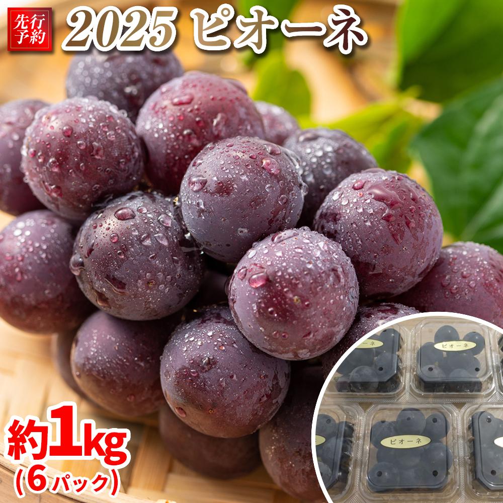 【ふるさと納税】【先行予約】2025　P　ピオーネ　粒採り6パック　約1キロ　【10月初旬頃～順次発送予定】　長野県産　国際特許有機肥料栽培 | フルーツ 果物 くだもの 食品 人気 おすすめ 送料無料