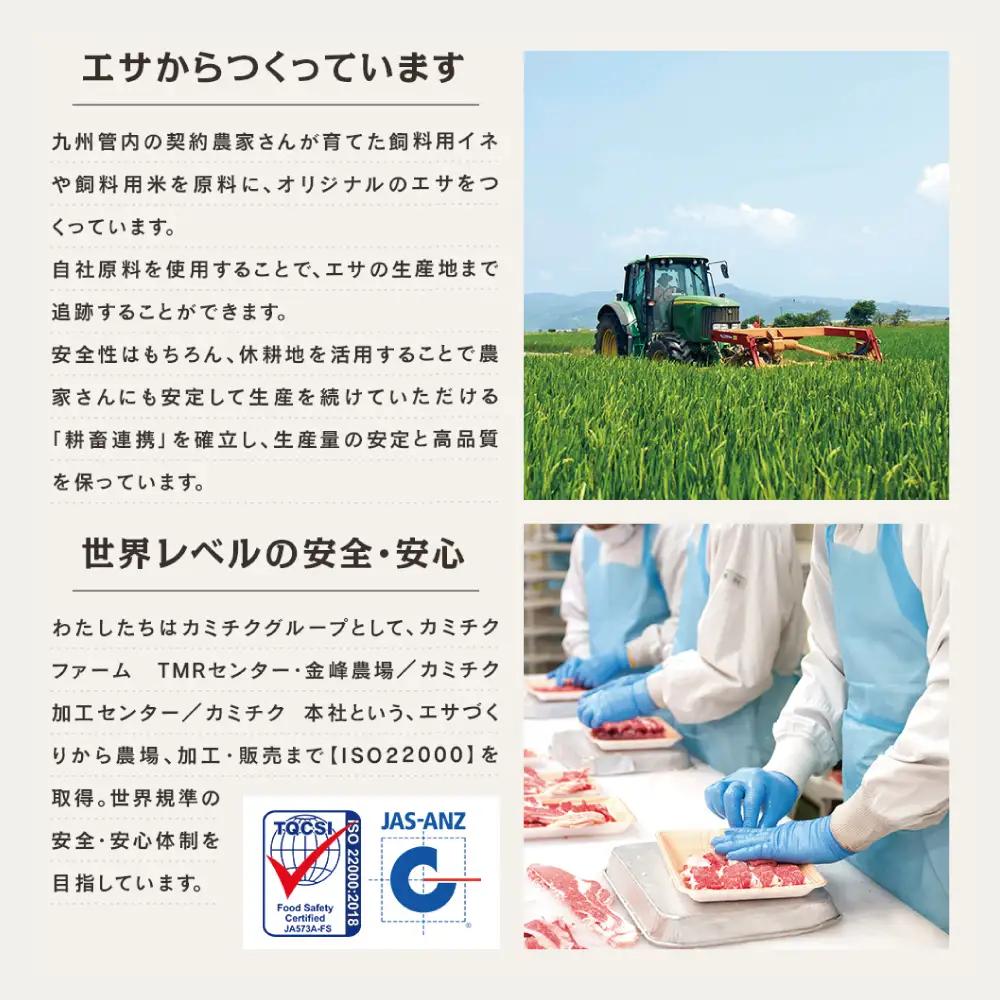 【特撰定期便 全4回】A5等級鹿児島黒毛和牛定期便 A5 A5等級 ステーキ サーロイン 赤身 ヒレ バラ 焼肉 BBQ ブロック肉 ロース肉 すき焼き しゃぶしゃぶ お肉 鹿児島県産 カミチク 黒毛