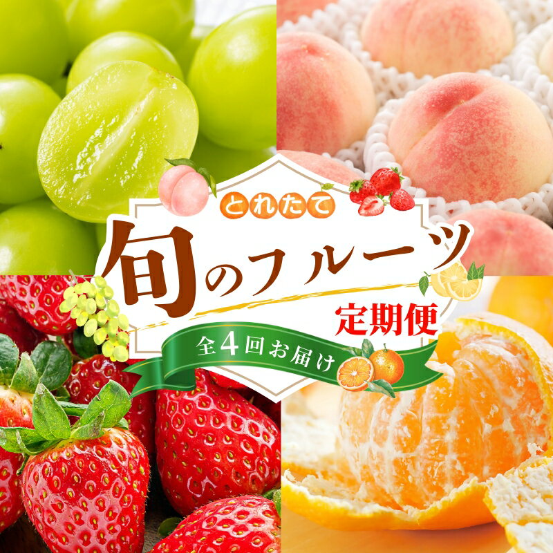 【ふるさと納税】【フルーツ定期便・全4回】品質に自信あり！くしがきの里から直送　桃・シャインマスカット・はれひめ・まりひめを季節ごとにお届け♪ / 定期便 桃 もも みかん 柑橘 シャインマスカット マスカット いちご イチゴ 苺 果物 フルーツ 4回【kgr038】
