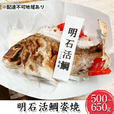 【ふるさと納税】明石活鯛姿焼 500～650g[ 明石鯛 鯛 焼鯛 祝い鯛 お祝い ] 魚貝類 タイ 加工食品 厳選 贅沢 レンジ お鍋 アヒージョ