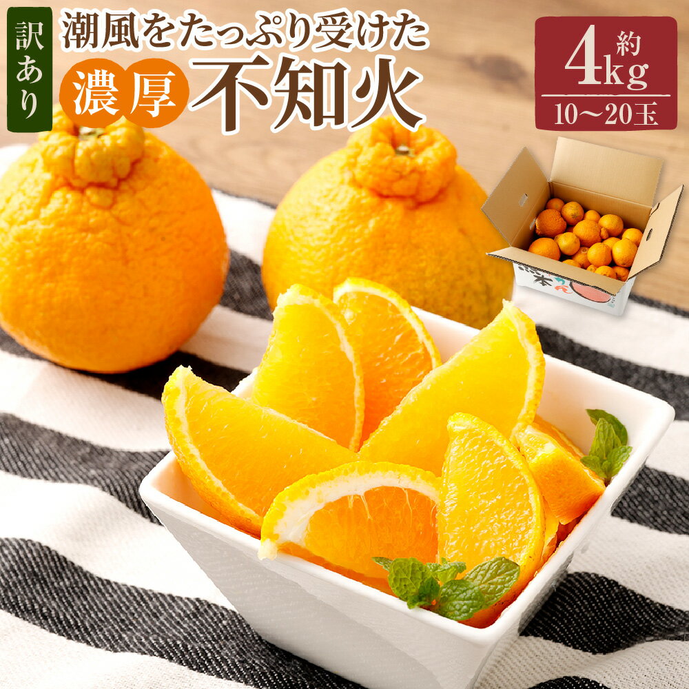 【ふるさと納税】【訳あり】 ご家庭用 濃厚不知火 10～20玉 ( 約4kg ) 【2026年2月下旬～3月上旬迄発送予定】 デコポン みかん 柑橘 果物 フルーツ 熊本 送料無料