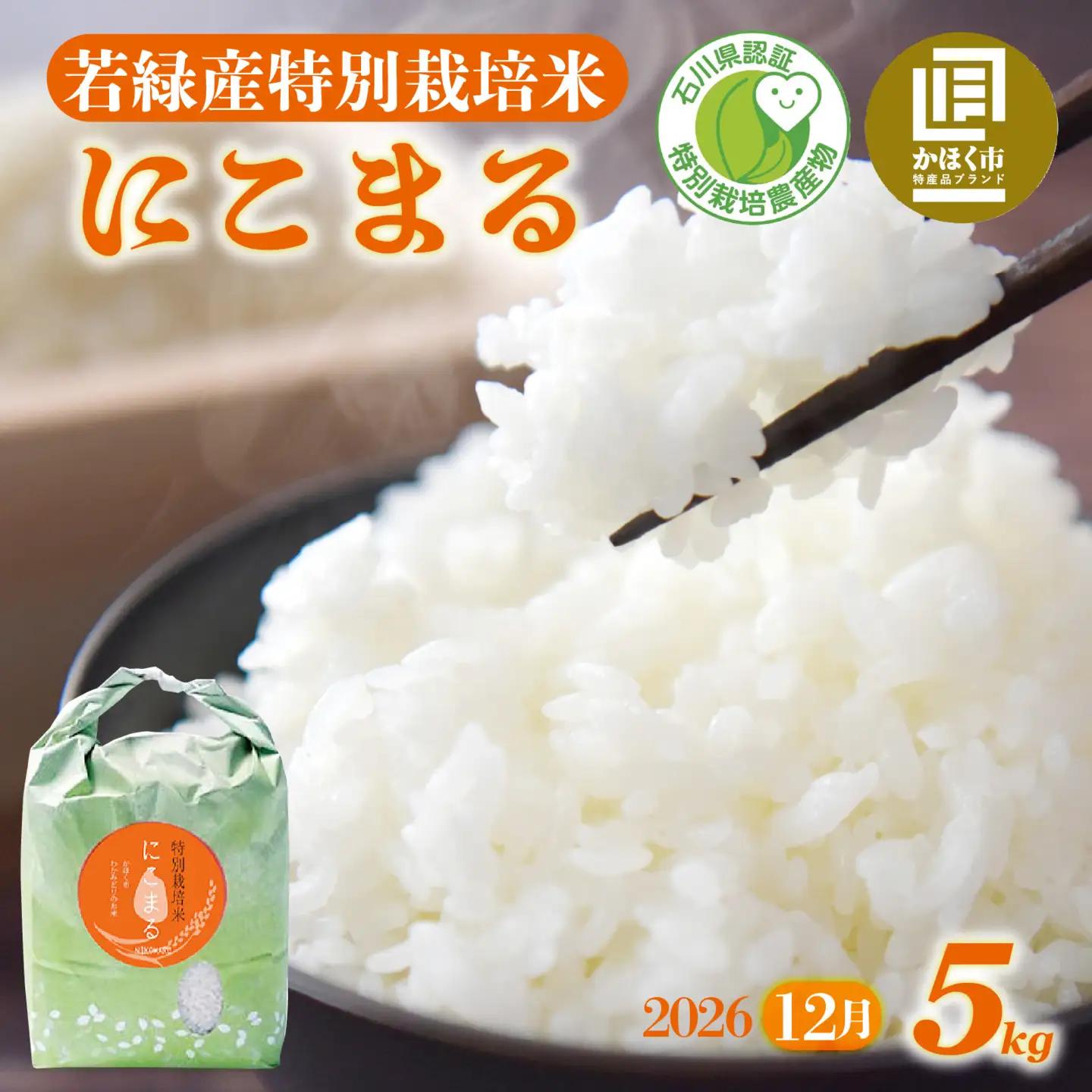 【令和8年産】  にこまる 5kg 【2026年12月配送】 |  にこまる 白米 新米