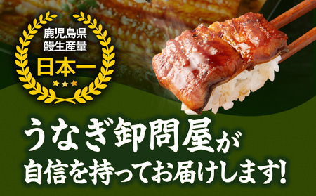 2479 【 定期 3回 】大隅特産 うなぎ蒲焼 2尾（340g）【 国産 】 KN060-T03 魚 冷凍 鰻