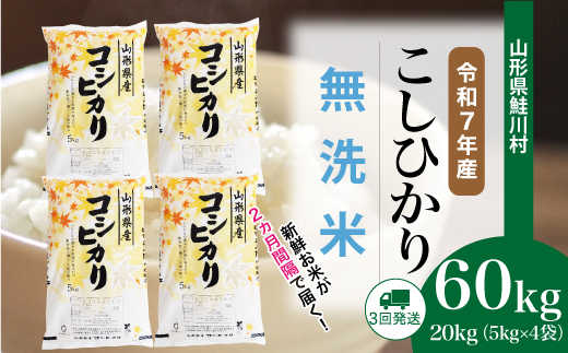 ＜令和7年産米＞ 鮭川村 こしひかり 【無洗米】 定期便 60kg （20kg×2ヶ月間隔で3回お届け）＜配送時期選べます＞