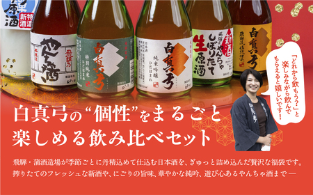 日本酒よくばり福袋 300ml×6本+180ml付 日本酒