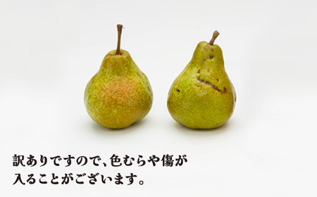 訳あり ラ・フランス 洋梨  約5kg 令和7年産 2025年産 フルーツ 果物 山形県 ns-laxxw5-a