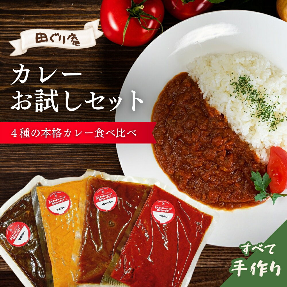 【ふるさと納税】手作り！世界のカレー4種 お試しセット 合計4食 欧風カレー トマトカレー タイカレー インドカレー カレー カレーライス 惣菜 レトルト レトルトカレー 備蓄品 常温 お取り寄せ グルメ 簡単調理 福岡県 福津市 ネコポス 送料無料 [Z4530]