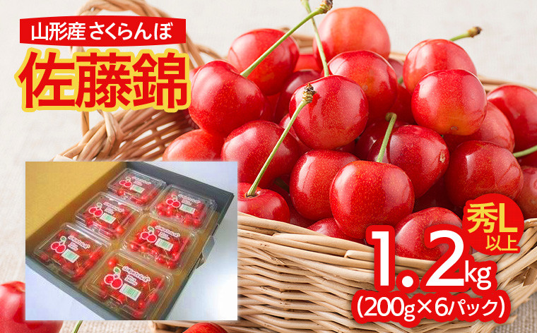 
            山形産 さくらんぼ 佐藤錦 L以上 1.2kg(200g×6パック入) 【令和7年産先行予約】FU21-829 くだもの 果物 フルーツ 山形 山形県 山形市 2025年産
          