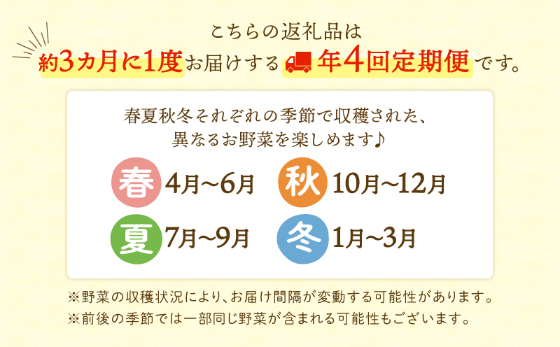 【全４回定期便】春夏秋冬 季節のお野菜セット（サイズ小）