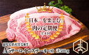 【ふるさと納税】【定期便全4回】日本一を楽しむ鹿児島県産黒毛和牛A5サーロインステーキ定期便＜計2kg(鹿児島県産黒毛和牛A5ランクサーロインステーキ 500g［250g×2枚］×4回)＞【ことぶき精肉店】