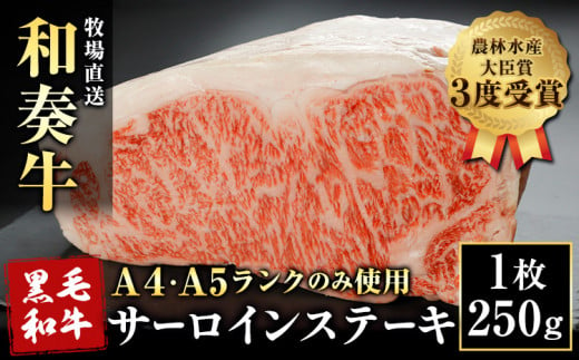 A5 A4 ランク 厳選 くまもと黒毛和牛 サーロインステーキ 1枚(約250g)《30日以内に出荷予定(土日祝除く)》 熊本県 大津町 和牛焼肉LIEBE サーロイン ステーキ 冷蔵 リーベ