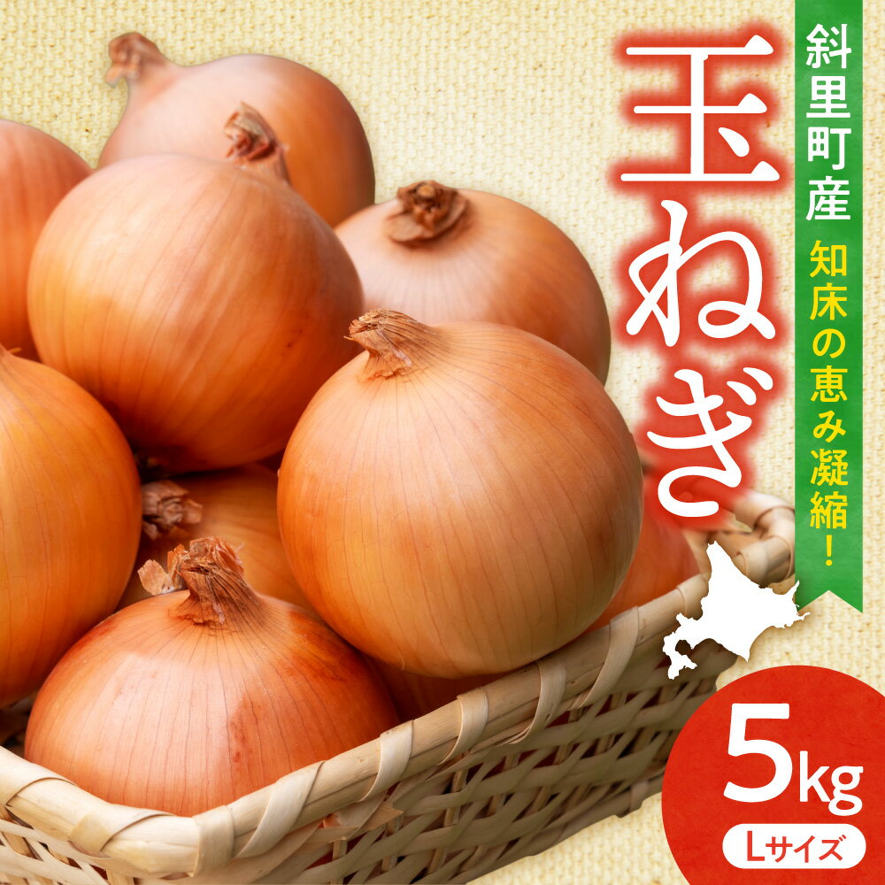 【ふるさと納税】【先行予約】産地直送知床の恵み凝縮!斜里の玉葱Lサイズ5kg_ 玉葱 玉ねぎ タマネギ Lサイズ 5kg 北海道 斜里 知床 甘み 新鮮 産地直送 美味しい 送料無料 【配送不可地域：離島・沖縄県】
