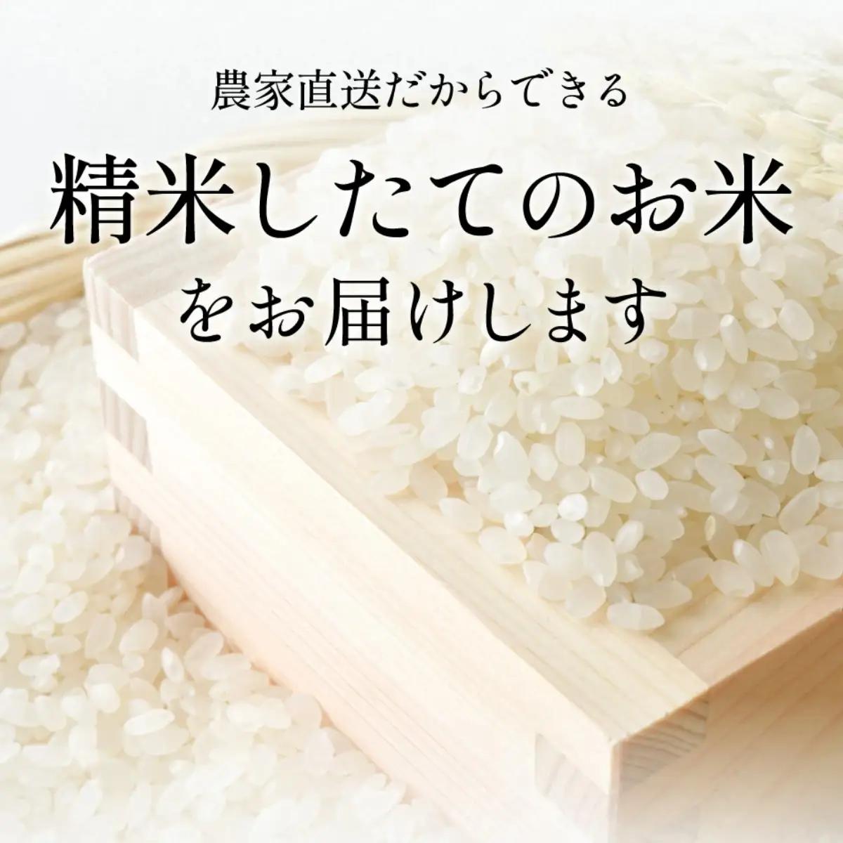 コシヒカリ【新米】特A 特別栽培米 丹波篠山産  5kg コシヒカリ こしひかり