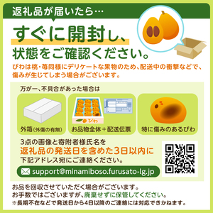 【2026年5月中旬～6月下旬発送予定】房州びわ Ｌ･2Ｌサイズ混合袋びわ（袋入） mi0114-0002