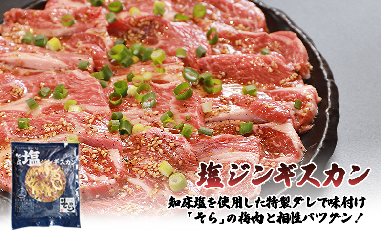 【定期便：全3回】知床ジンギスカン店「そら」知床ジンギスカン味付き「塩ダレ」生ラム肩ロース900g（300g×3）【16017】