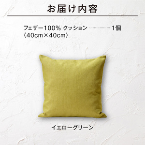 blocco フェザー100％ クッション（40cm×40cm） 460097 イエローグリーン