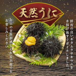 浜ゆで うに 100g×1 ウニ 雲丹 茹でうに 冷凍 寿司 Sea urchin 新鮮 直送 産地直送 ごはん 夕飯 おかず おつまみ 晩酌 米 丼 海産物 海鮮 魚介 魚介類 大船渡 三陸 岩手県