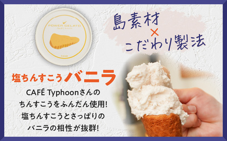 POWER GELATO 沖永良部島産（ 塩ちんすこうバニラ ）90ml × 5個入り W066-004-01 ジェラート パワージェラート デザート 氷菓子 菓子 手作り CAFE Typhoon 