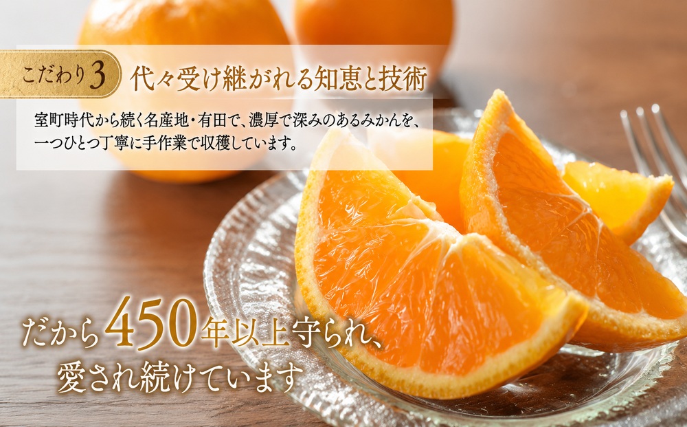 有田みかん「未来への虹」10kg(A2-2)