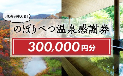 
のぼりべつ温泉感謝券300，000円分
